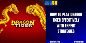 how to play Dragon Tiger