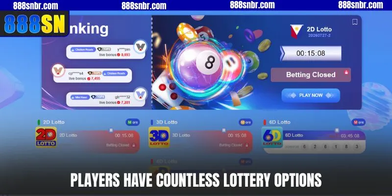 Players have countless lottery options